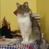 Отзыв от Алеся Павлова